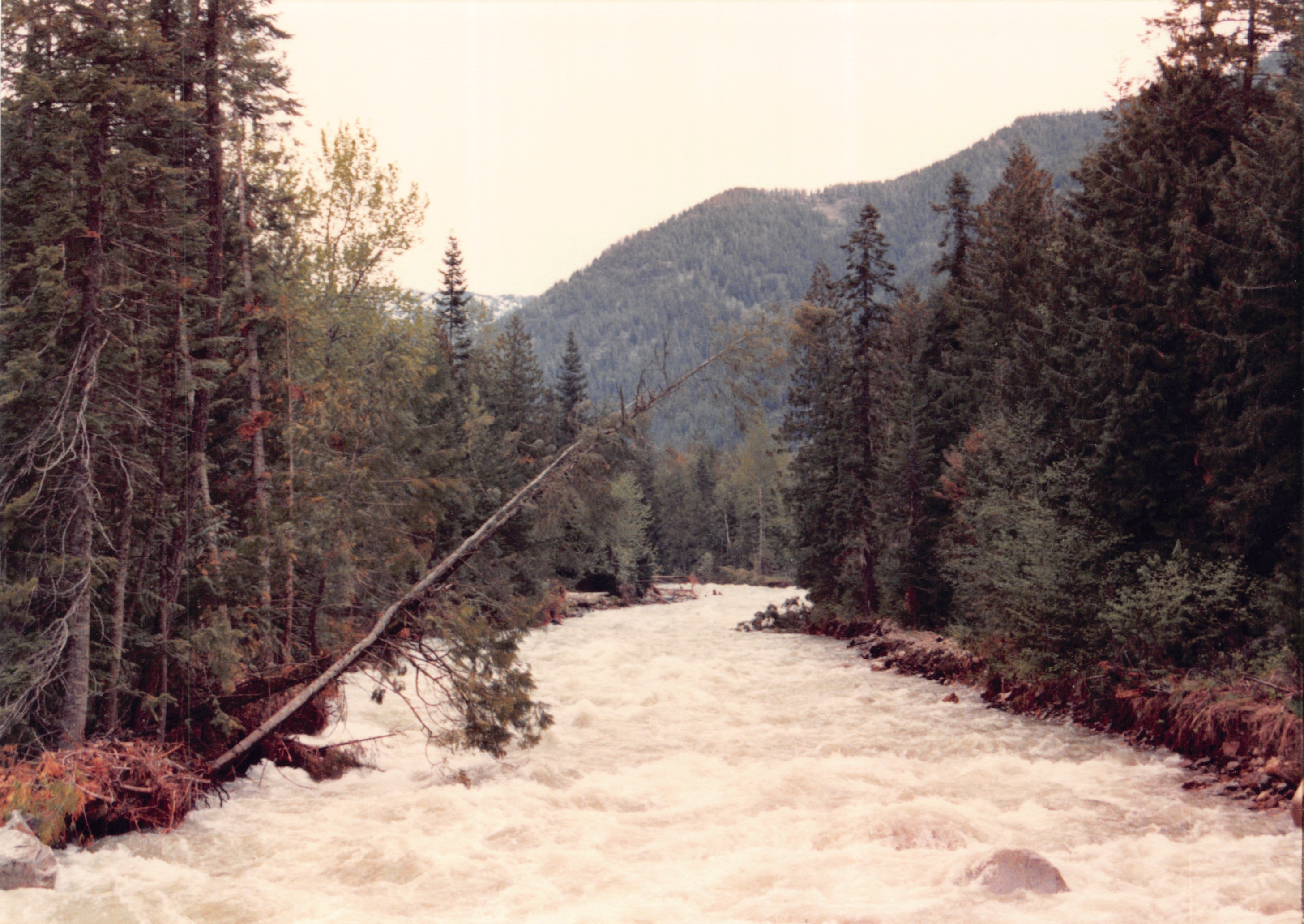 1985_Part 2_01_017.jpg